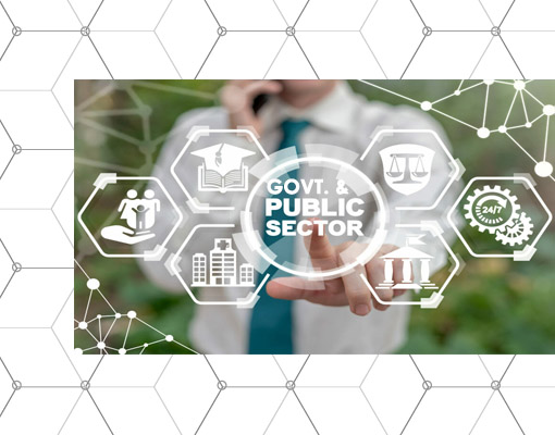 Government & Public Services